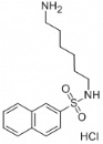 N-(6-Aminohexyl)-2-naphthalenesulfonamide hcl
