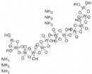 钨酸铵