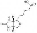 D-Biotin