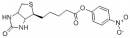 Biotin-ONP D-Biotin p-nitrophenyl ester