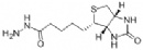 Biontin-Hydrazide