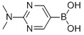 2-Dimethylaminopyrimidinyl-5-boronic acid