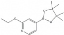 2-Ethoxypyridine-4-boronic acid pinacol ester