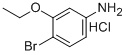 4-Bromo-3-ethoxyaniline HCl